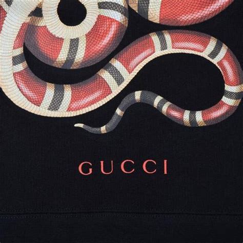 what does the gucci snake mean|Gucci snake collection.